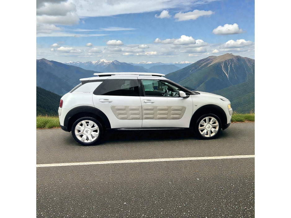 2017 Citroen C4 Cactus 1.2 PureTech 75 Touch €9,888