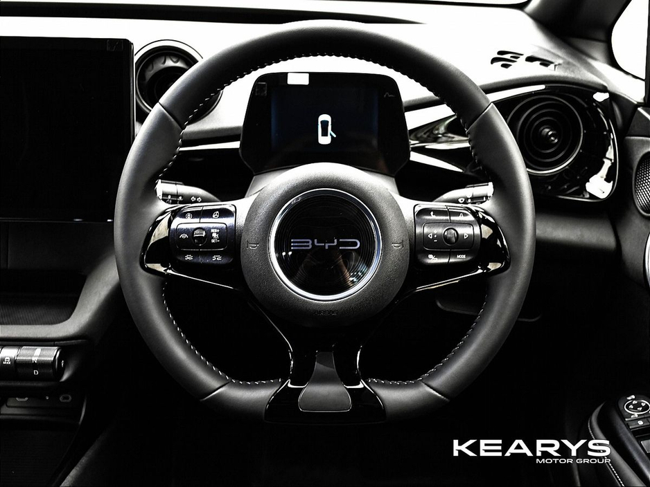 2026 BYD Dolphin - image 16