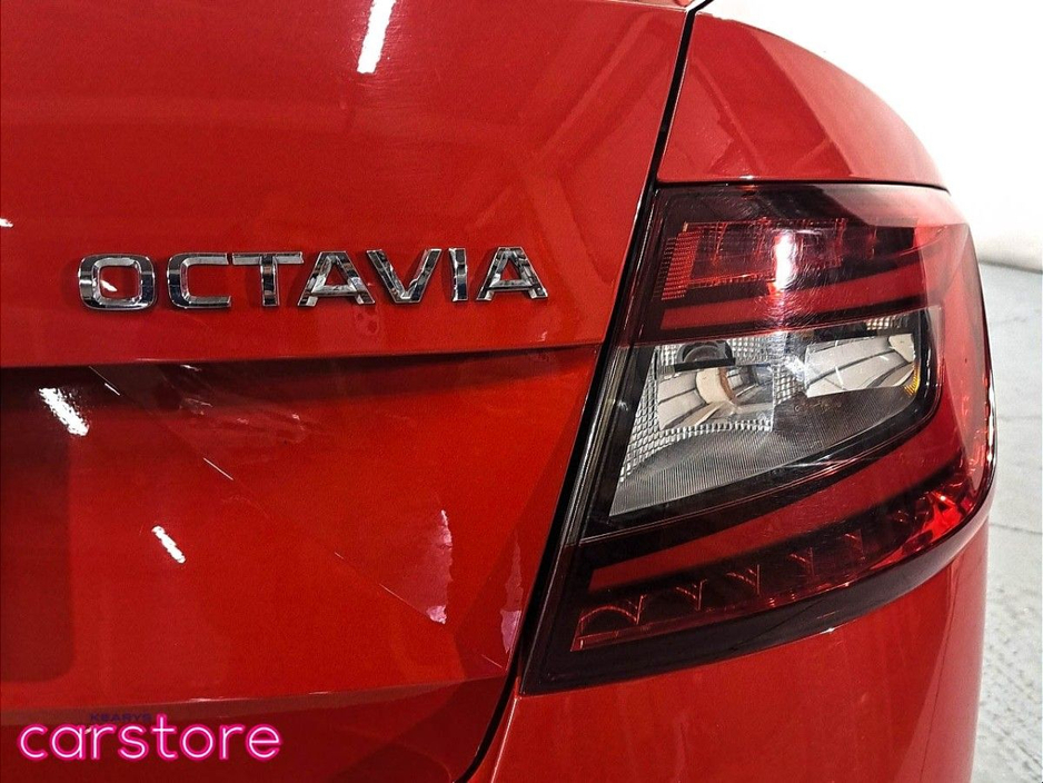 2021 Skoda Octavia - image 11