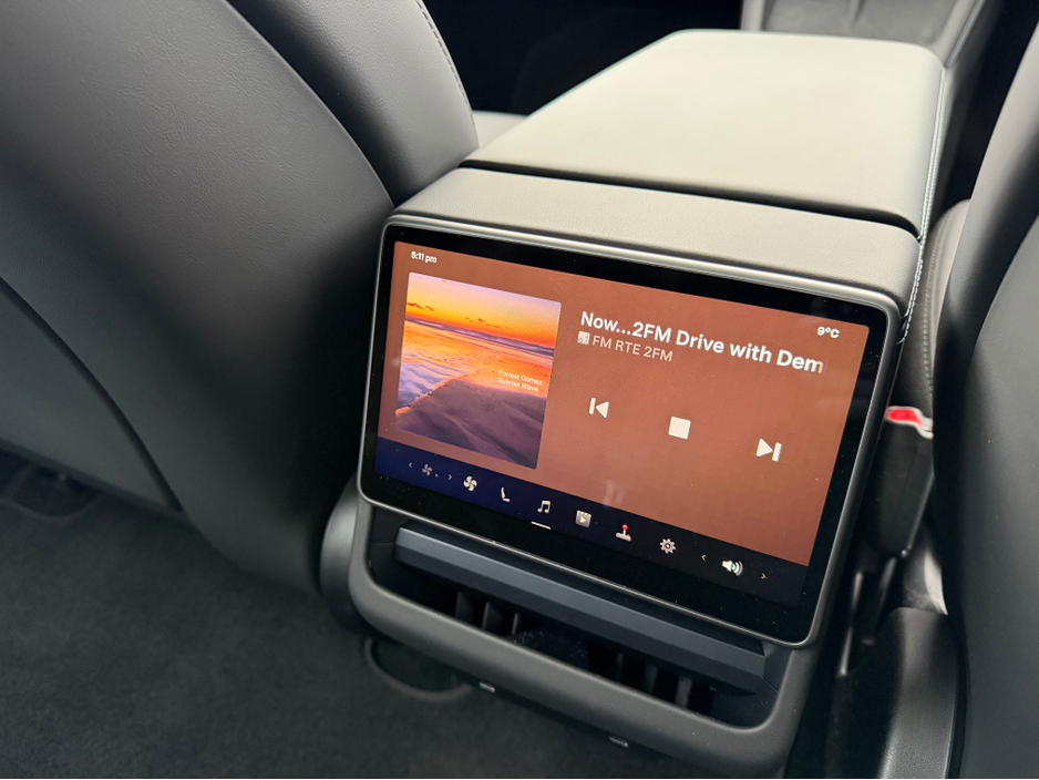 2025 Tesla Model 3 - image 17