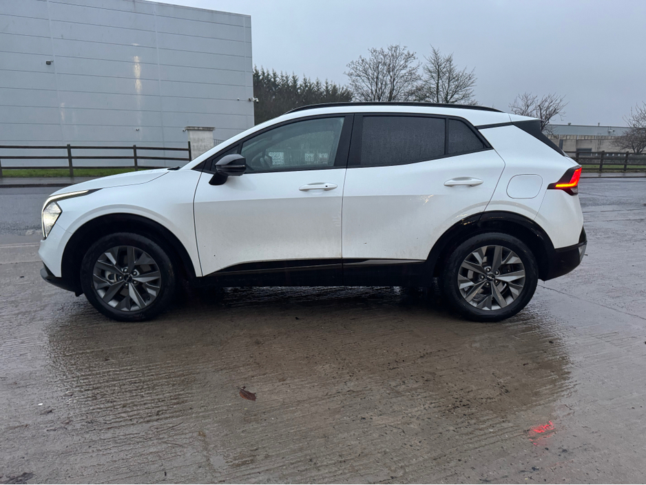 2024 Kia Sportage - image 8