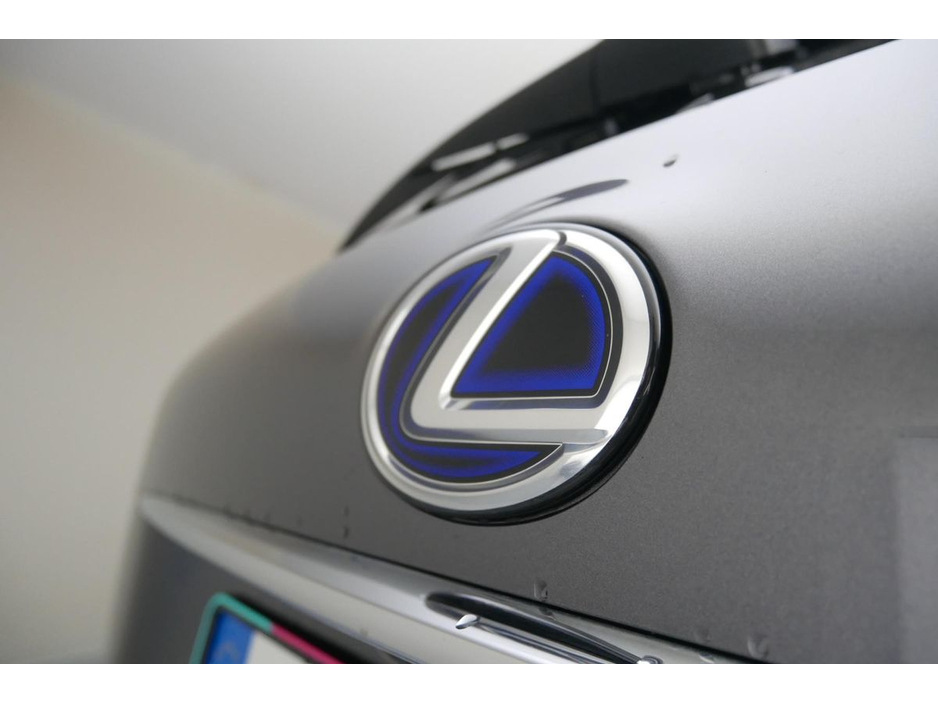 2016 Lexus NX 300 h - image 21