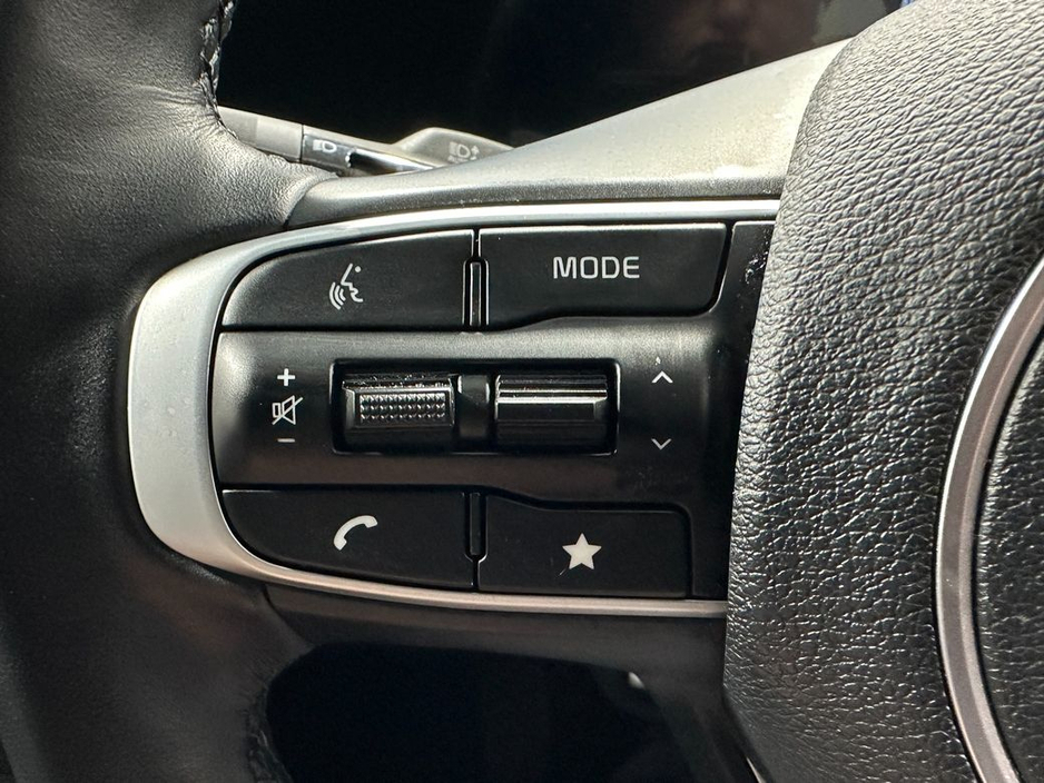 2025 Kia Sportage - image 14