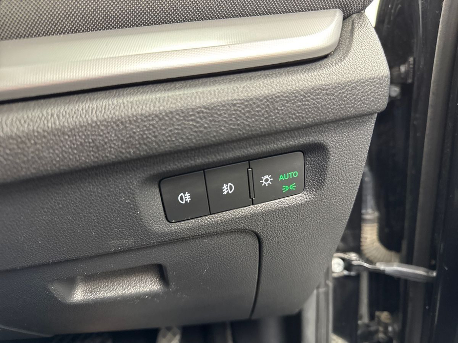2023 Skoda Octavia - image 23