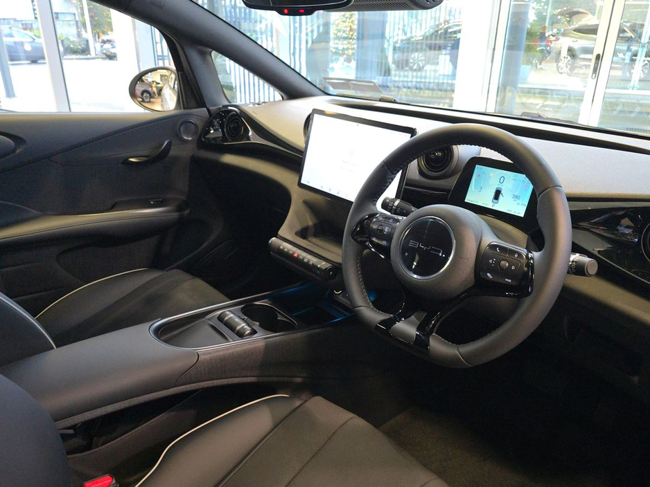 2026 BYD Dolphin - image 9