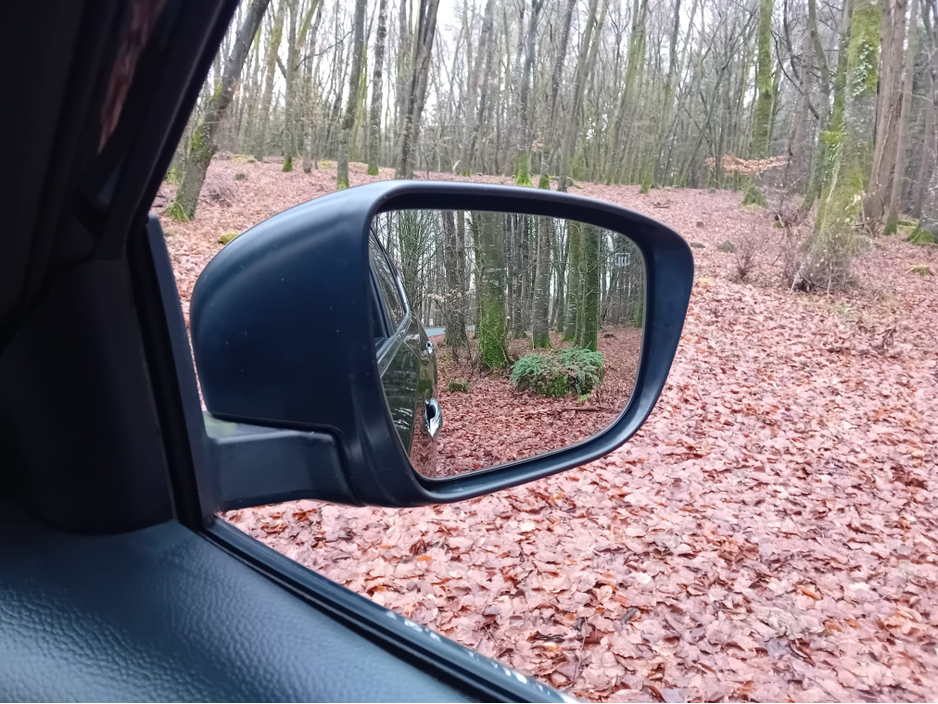 2020 Nissan X-Trail 1.7 DSL SV 7 SEAT PREMIUM  SUV  @ REDDY2DRIVE LTD €23,500