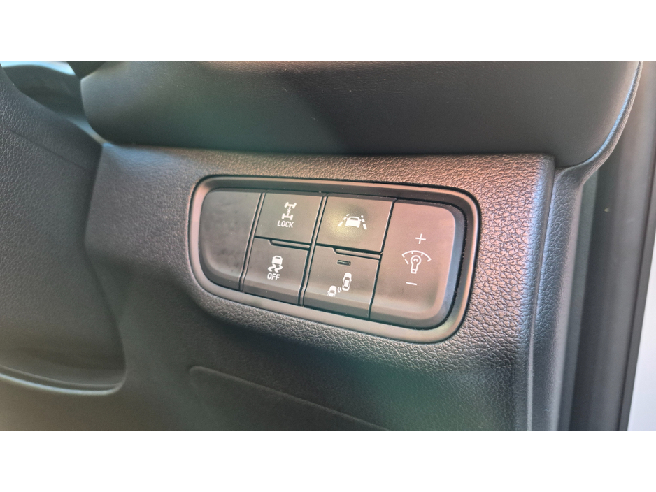 2019 Hyundai Santa Fe PREMIUM PLUS 5DR AUTO €27,950