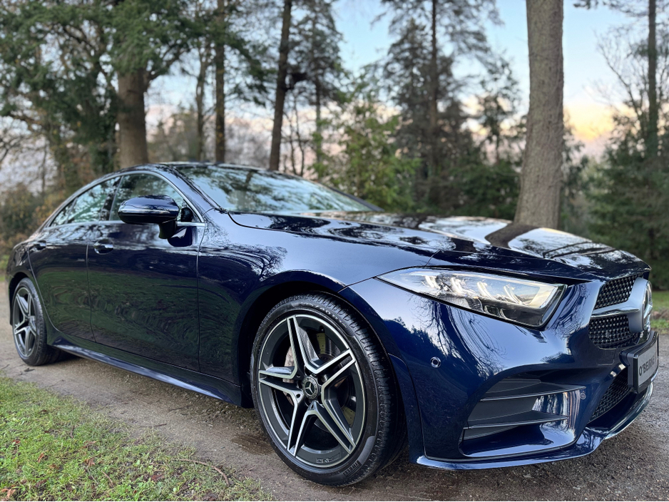 2019 Mercedes-Benz CLS Class - image 8