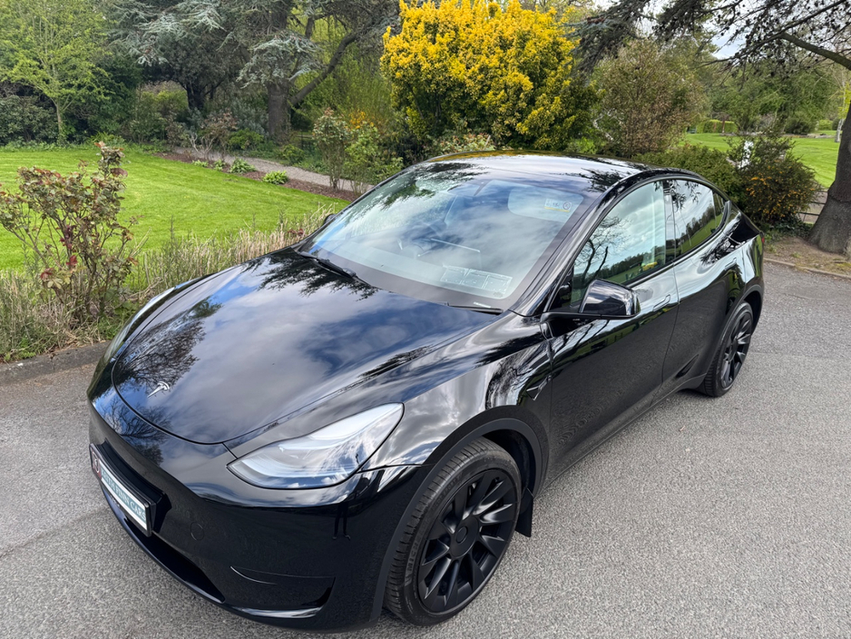 2024 Tesla Model Y - image 7