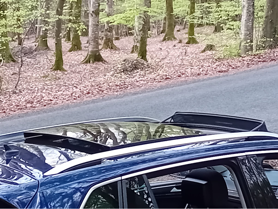 2018 Volkswagen Tiguan - image 10