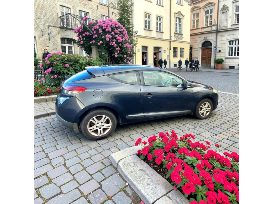 2010 Renault Megane - image 8