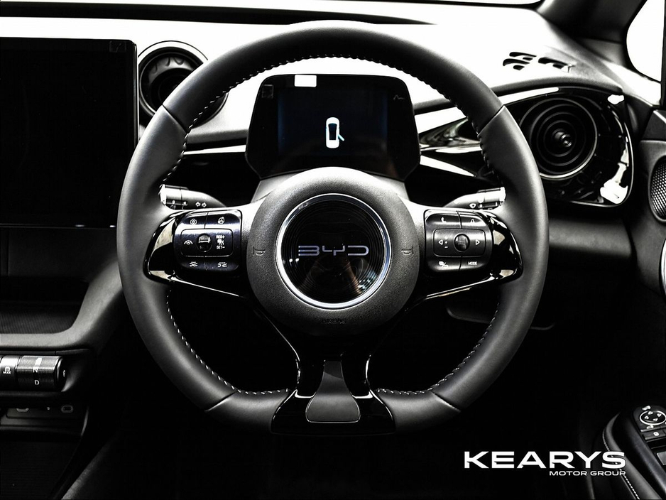 2025 BYD Dolphin - image 15