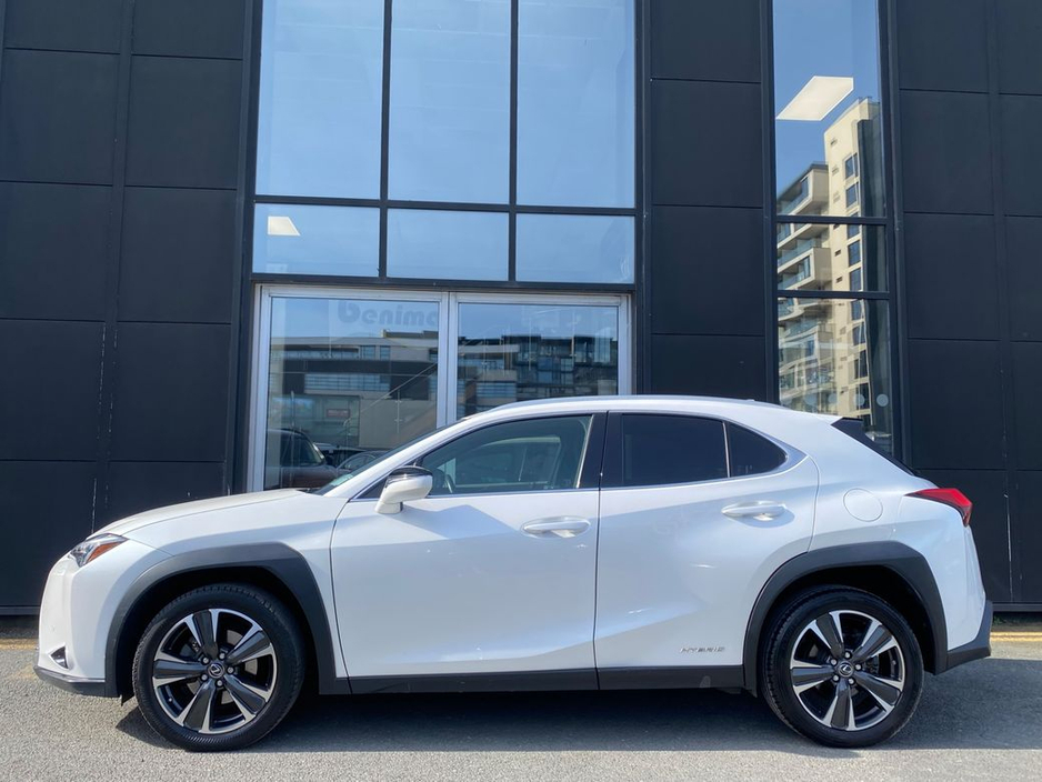 2020 Lexus UX 250 H - image 8