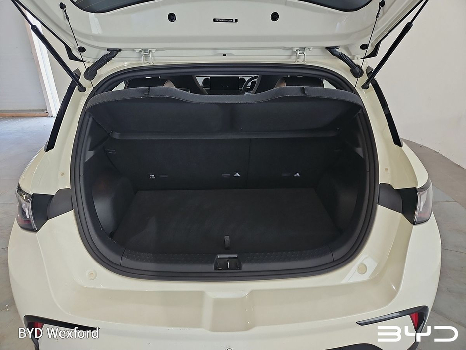 2024 BYD Dolphin - image 13