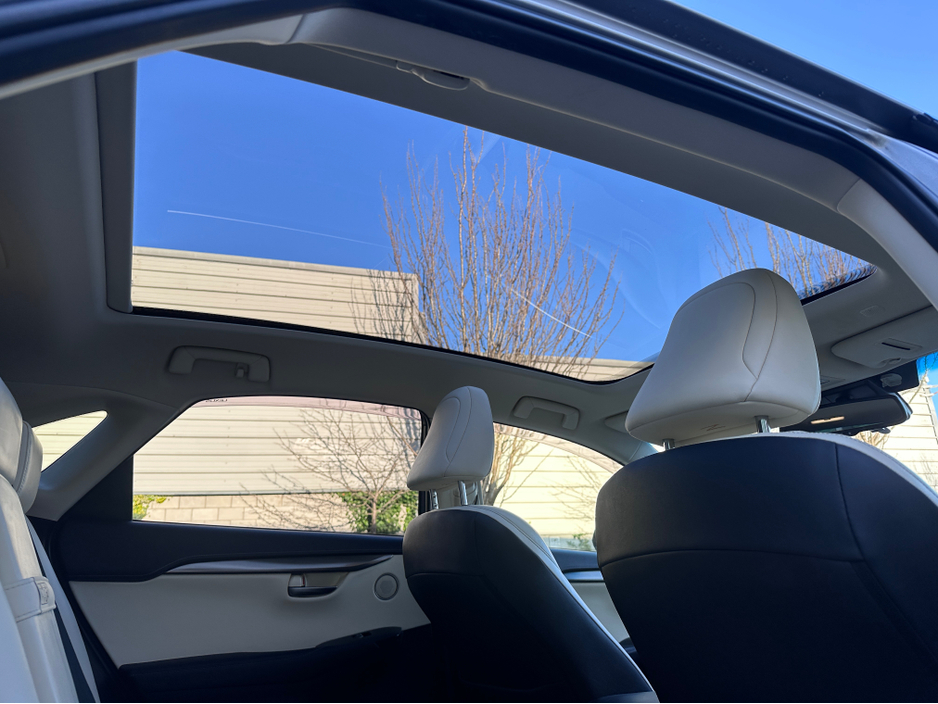 2018 Lexus NX 300 h - image 9