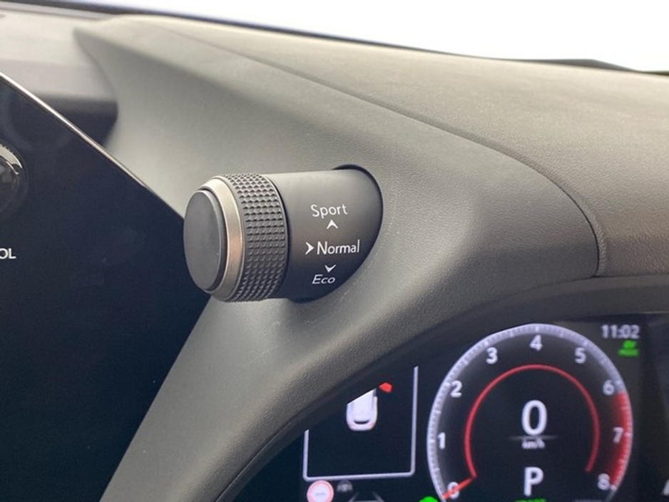 2025 Lexus UX 250 H F Sport Design €49,950