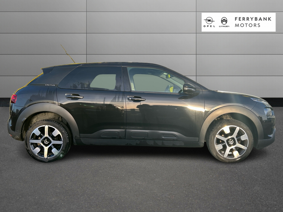 2019 Citroen C4 Cactus FEEL BLUEHDI 100 S&S €15,950