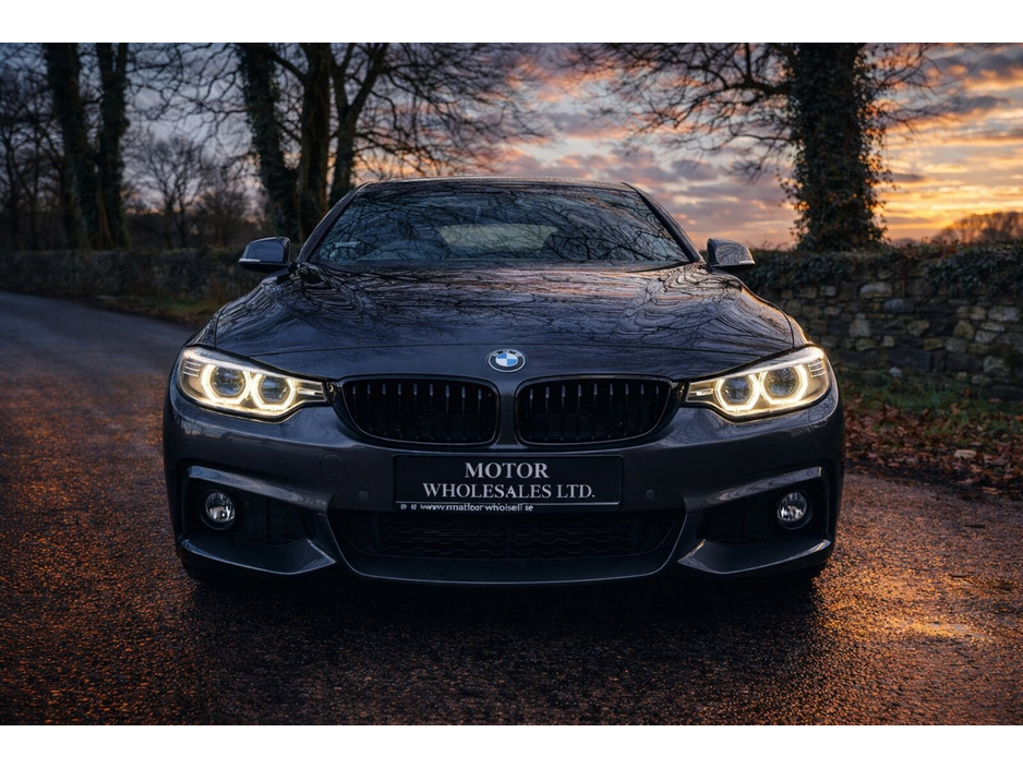 2017 BMW 4 Series 420d M Sport Auto €19,850