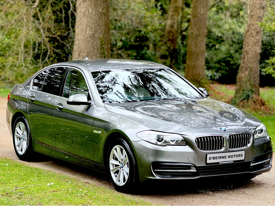 2015 BMW 5 Series - image 5