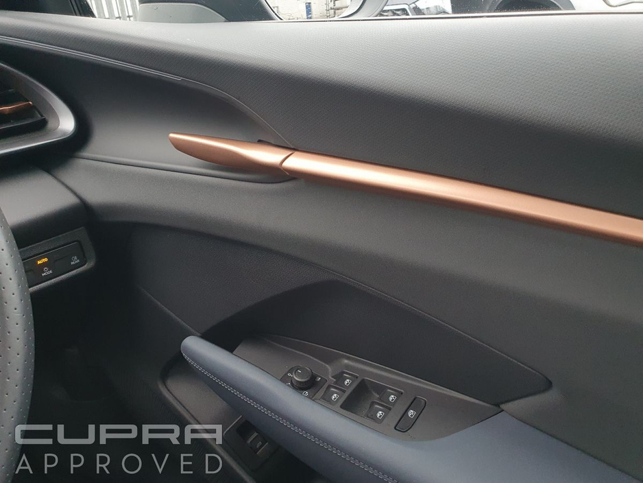 2025 Cupra Terramar - image 19