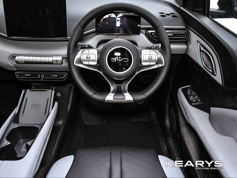 2026 BYD Dolphin Surf - image 12