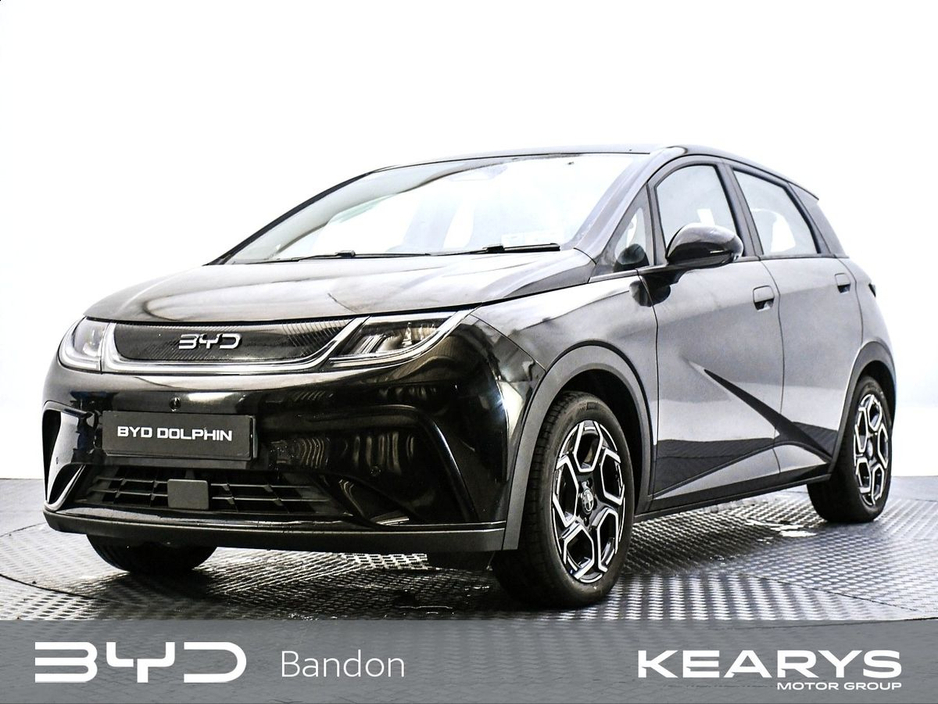 2026 BYD Dolphin - image 8