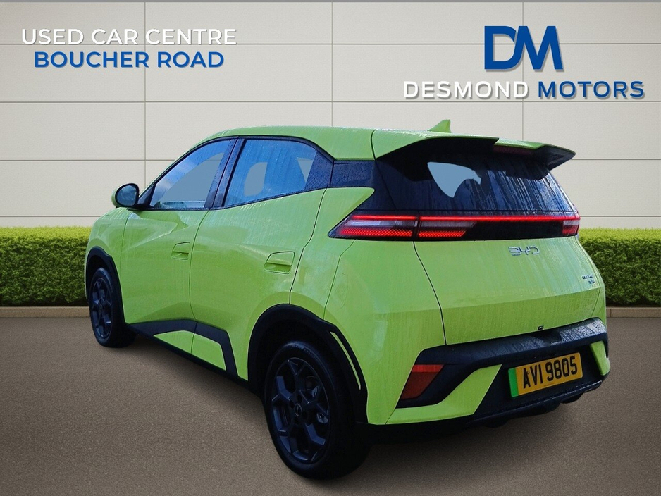 2025 BYD Dolphin - image 3