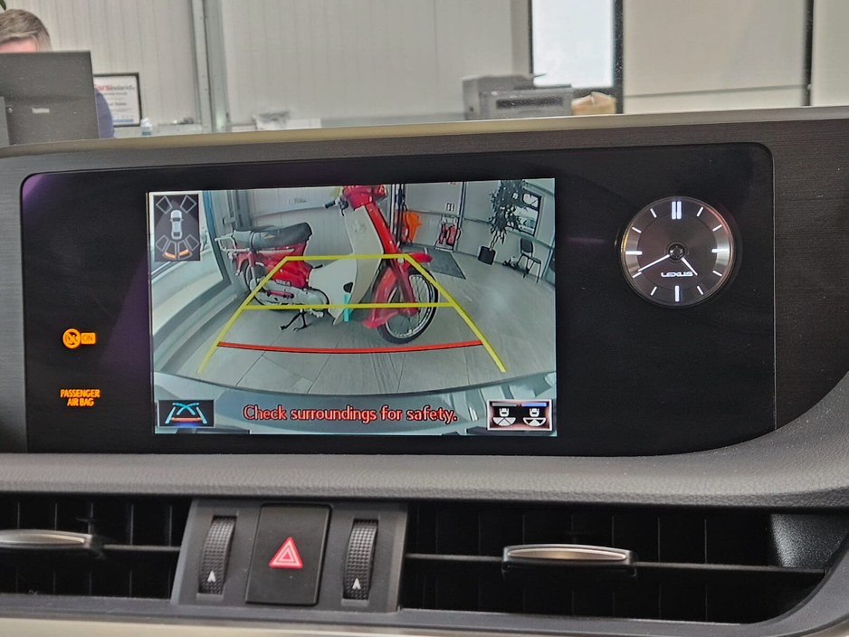 2019 Lexus ES 300 H - image 19