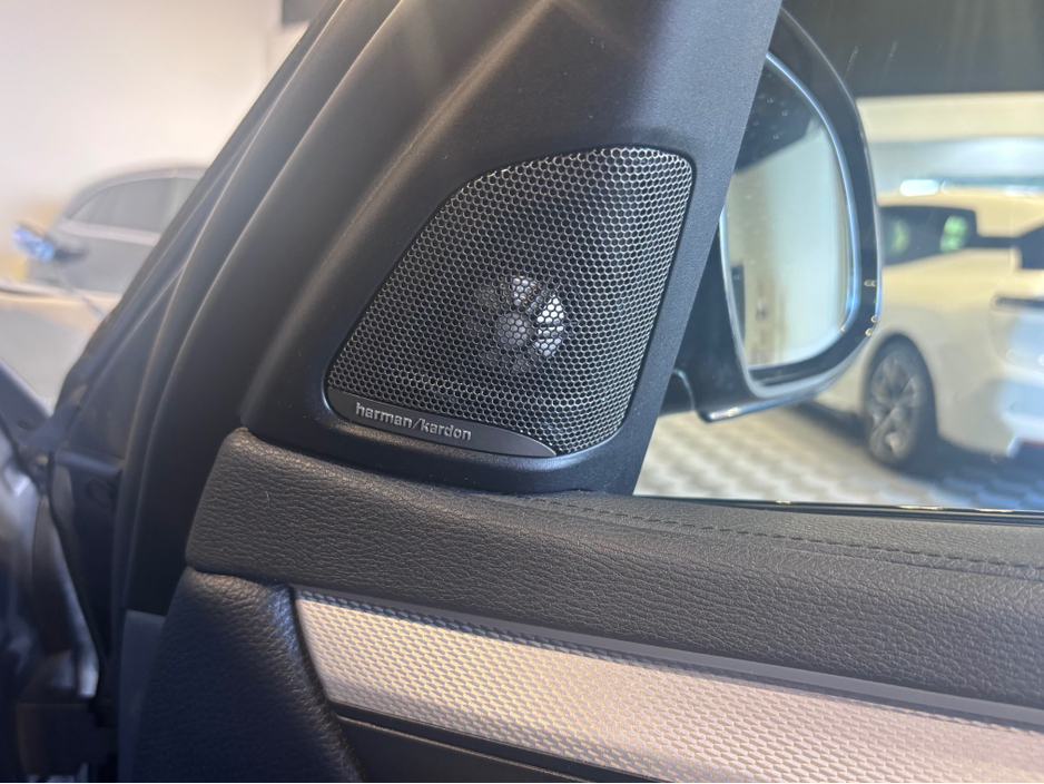 2017 BMW X6 - image 13