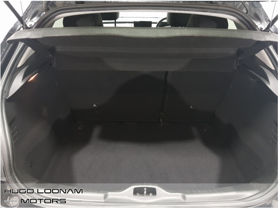 2019 Citroen C4 Cactus FEEL BLUEHDI 100 S&S 4DR €11,995