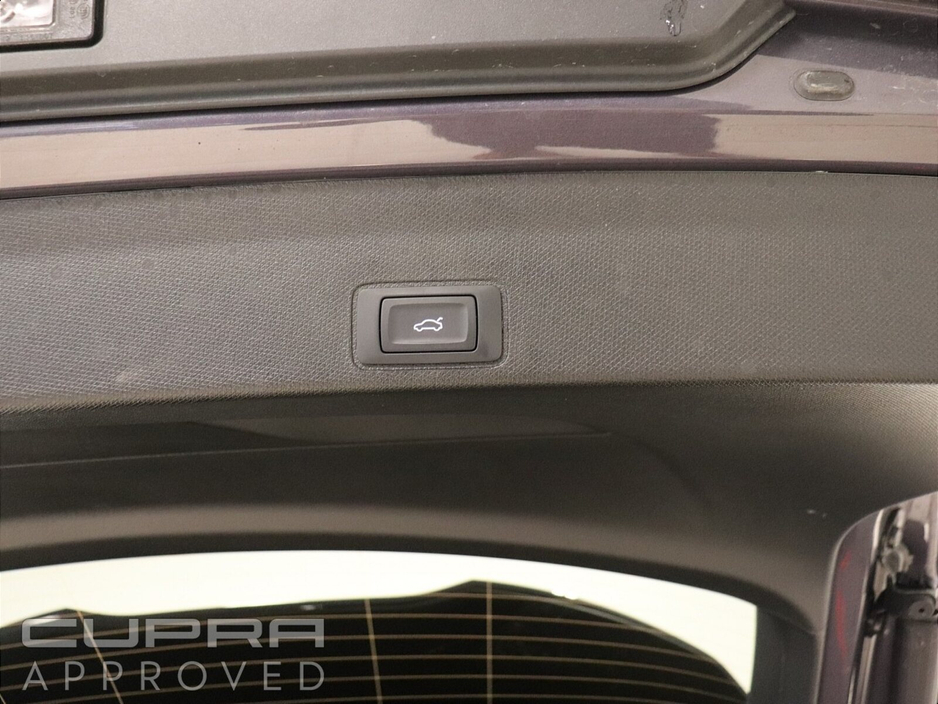 2026 Cupra Terramar - image 18