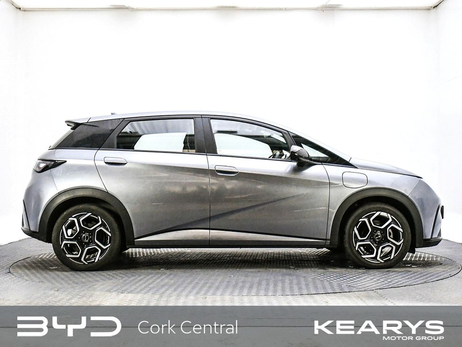 2025 BYD Dolphin - image 5