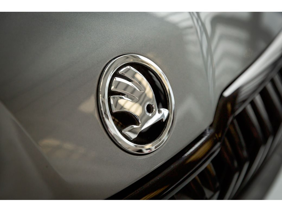 2024 Skoda Kodiaq - image 47