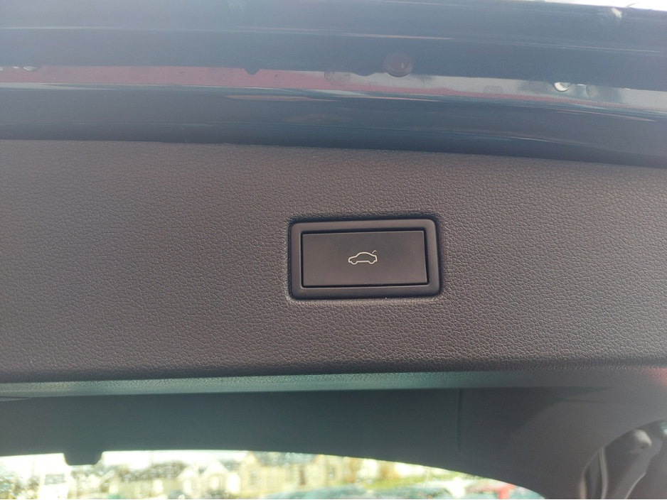 2024 Volkswagen Tiguan - image 12