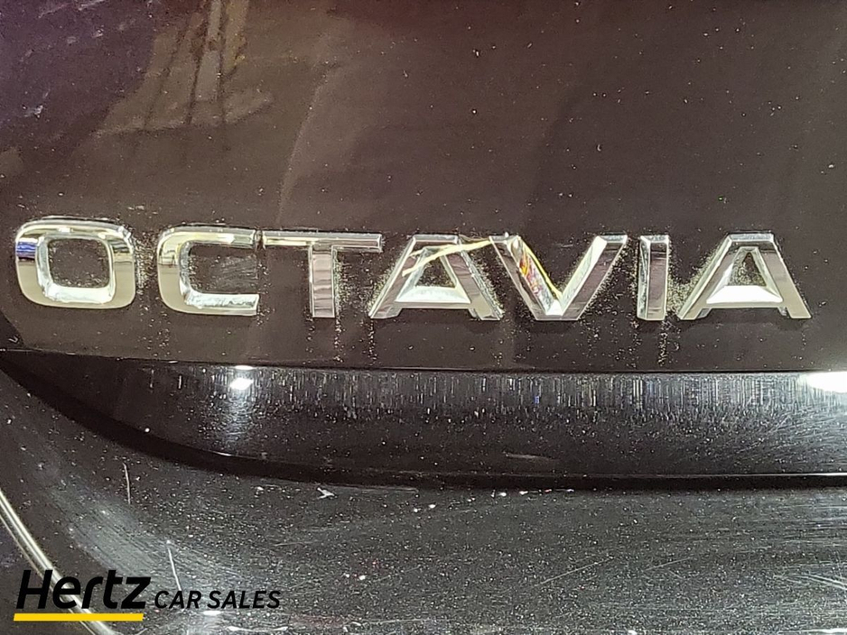 2024 Skoda Octavia - image 11