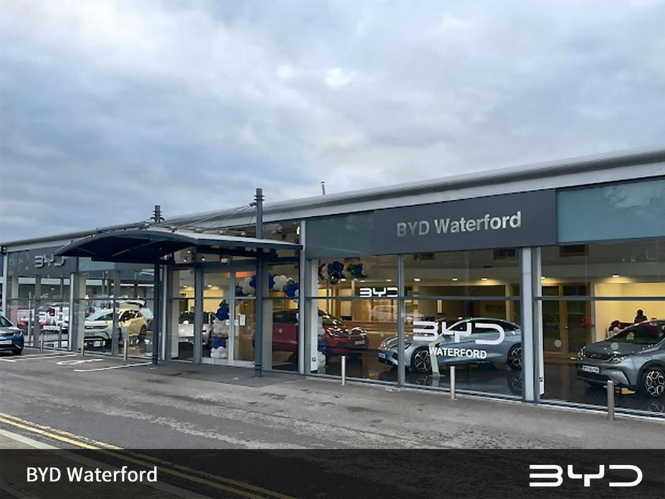 2024 BYD Dolphin - image 2