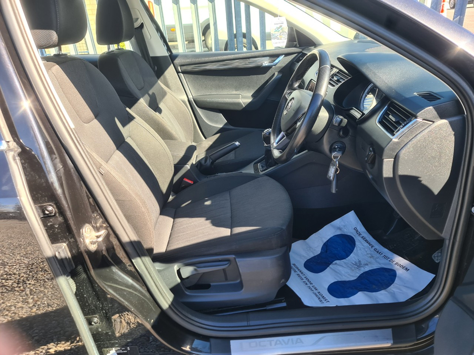 2019 Skoda Octavia - image 8