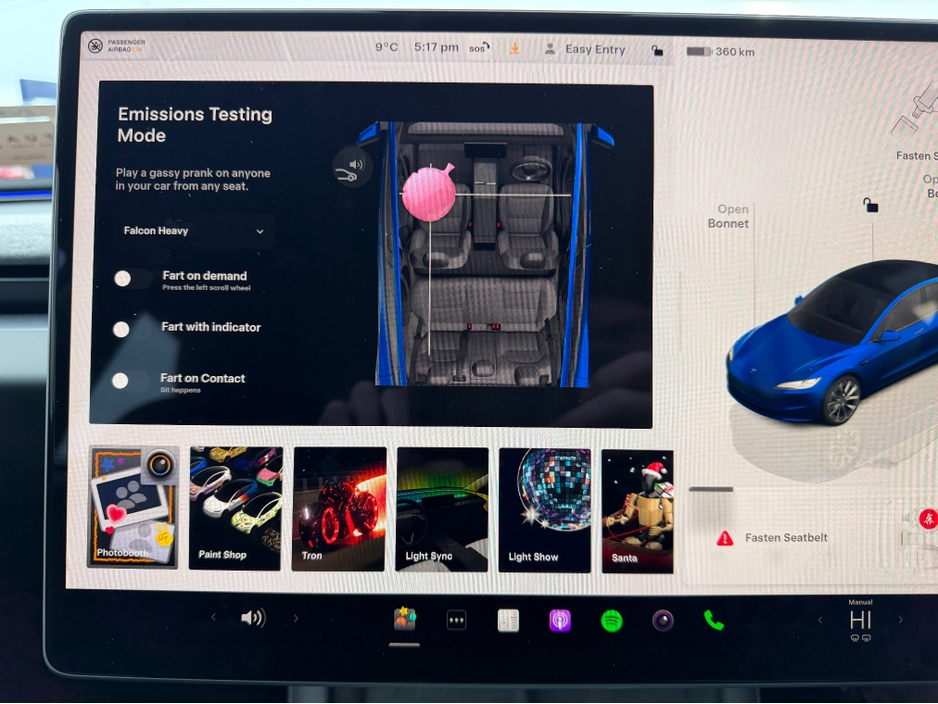 2025 Tesla Model 3 - image 43