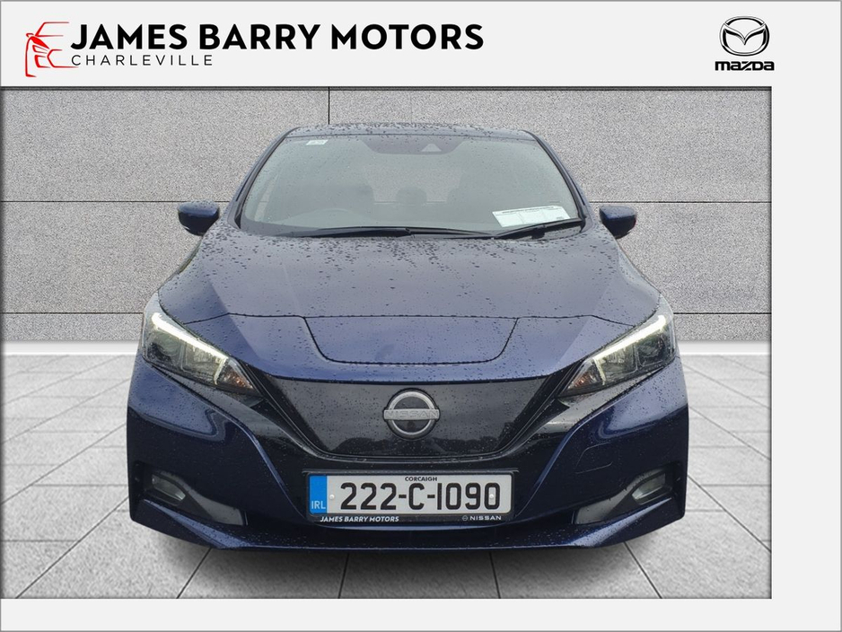 2022 Nissan Leaf Leaf SV 62 kWh 350kms Range €19,950