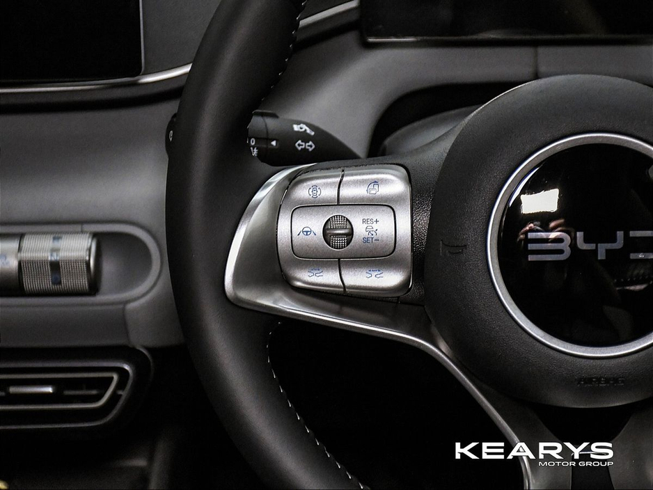 2026 BYD Dolphin Surf - image 16